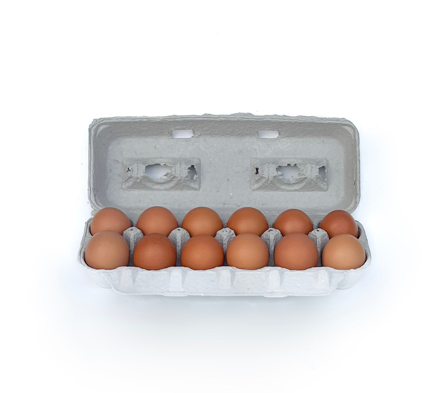 Eggs--1 Dozen